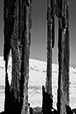 What Remains 38